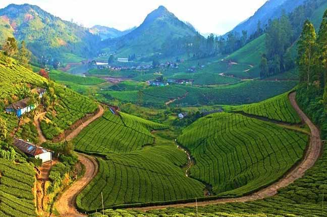 Megamalai Tour: A Hidden Paradise